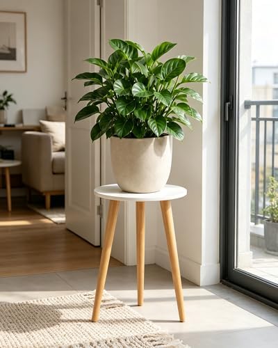 Bamworld Tall Plant Stand Indoor Wood Plant Table by Bamworld
