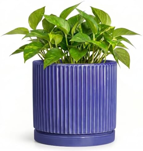 6 Inch Ceramic Pots for Plants, Round Plant Pot with Tray, Blue by Unknown
