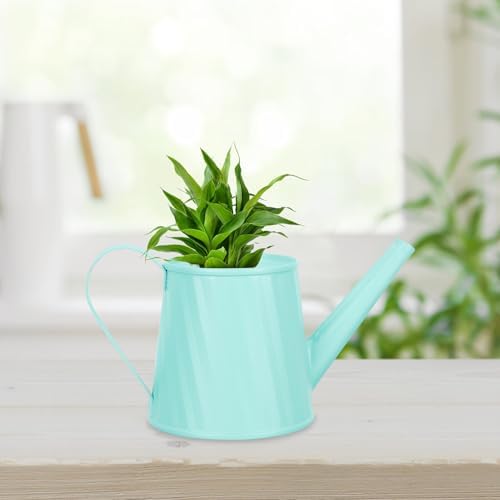 GANAZONO Small Watering Can for Indoor Gardening Portable Green Metal Succulent Watering Pot Compact Bottle and Home Decor - Image 6