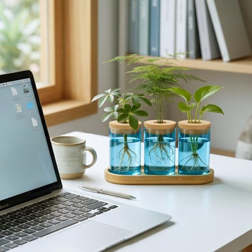 Dahey Plant Propagation Stations, Glass Vases with Wooden Stand & Lid, Blue - Image 5