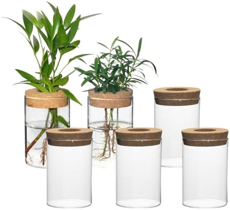 Separated Desktop Glass Flower Vases - Ideal Plants Propagation Stations for Living Room, Bedroom Decoration,Home Decor (6) by wangsdjy