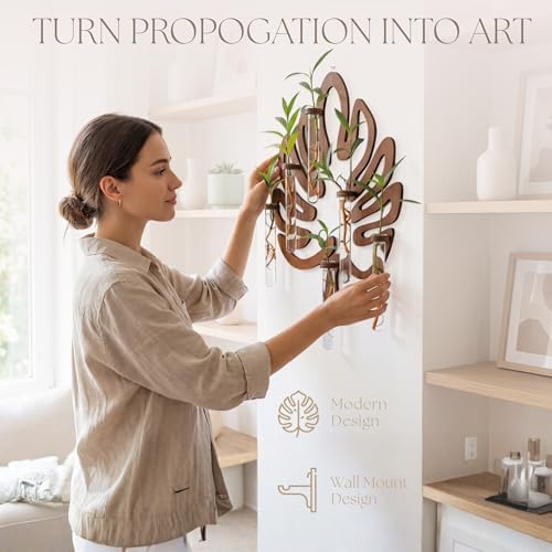 Leaf-Shaped Plant Hanging Propagation Stations with 6 Glass Vases & 1 Spare - Image 3