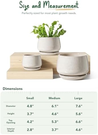 LE TAUCI Plant Pots, 4.1+5.1+6.5 inch, Set of 3, Ceramic Planters with Drainage Hole and Saucer, Indoor Flower Pot with Hole Mesh Pad, Gifts for Mom, Reactive Glaze Beige - Image 2