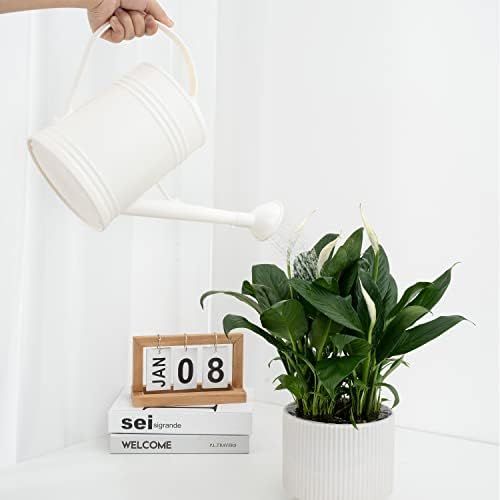 Plastic Indoor Watering Can with Sprinkler Head - 68 oz, 1/2 Gallon - Image 4