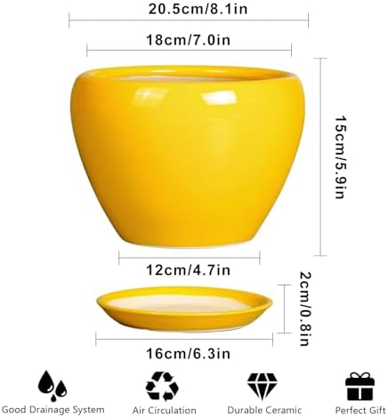 Ceramicfor 8 Inch Plant Pot - Glaze Modern Round Ceramic Planter for Indoor Outdoor Plants with Drainage Hole and Saucer for Home Patio Room Office Decor, Yellow - Image 3