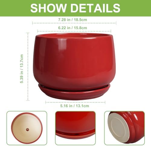 G EPGardening Ceramic Planter 7 Inch - Flower Pots for Indoor Plants, Round Planter with Drainage and Ceramic Tray, Modern Plant Pot, Bathroom Decor, Teacher Gifts, Red - Image 3