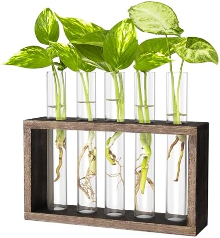 Propagation Station, Plants Terrarium, Plants Lover Gifts for Women,Plant Cutting Holder Home décor,Gifts for Women,House Warming New Home-5 Tubes-Brown by IVOLADORI