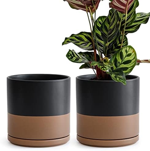 D'vine Dev 2-Pack Ceramic Pots with Saucers, Black/Tan, 8 in, 94-V-D-7 by DvineDevPlanterPotsandStand
