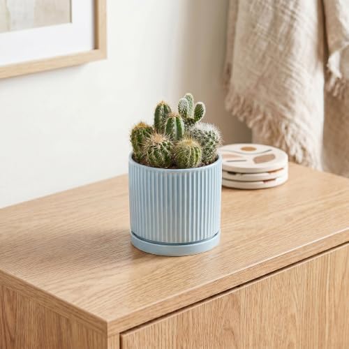 4 Inch Plant Pots, Ceramic Pots for Plants with Saucer, Light Blue - Image 5