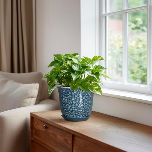 Ceramic Pots for Plants - 5.6 Inch Plant Pot for Indoor Outdoor, Round Succulent Orchid Pot with Drainage Hole and Saucer, Modern Small Flower Pot, Room Home Decor, Plant Lover Gifts, Blue - Image 5