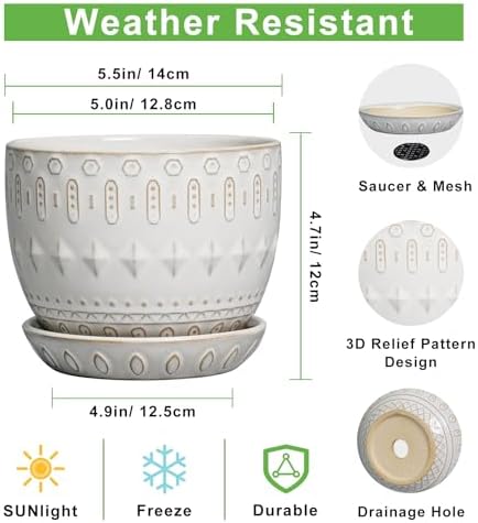 G EPGardening Ceramic Plant Pot - Succulent Pots with Drainage Hole and Saucer 5 Inch Planter for Indoor Plants Outdoor Decorative Round Flower Pot White - Image 3