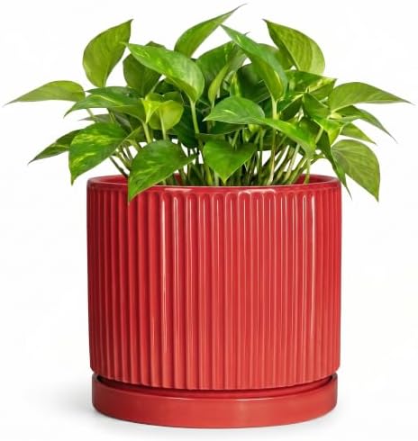 6 Inch Ceramic Plant Pots, Pots for Plants with Saucer, Red by Unknown