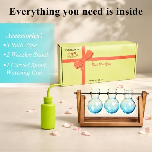 XXXFLOWER Plant Terrarium Kit with Wooden Stand 3 Gradient Blue Bulb Vases - Image 5