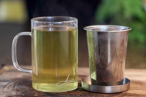 16.9 oz Borosilicate Glass Tea Mug with Stainless Steel Infuser & Lid –A 500mL heat-resistant glass teacup designed for brewing loose-leaf tea. Durable, elegant, and perfect for easy use - Image 3