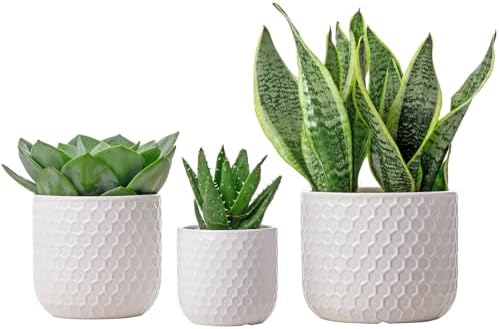 Docrin Plant Pots Indoor with Drainage: 6.4+5.3+4 Inch Ceramic Flower Pots for Plants - Set of 3 Modern Decorative Planters for House/Office/Gift - White Honeycomb by DOCRIN