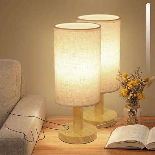 Touch Bedside Table Lamps Set of 2 with Stepless Dimming, USB Powered by PuziphaTableLamp