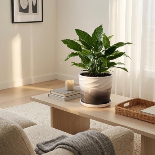 8 Inch Ceramic Plant Pot,Dark Gray+White - Image 2