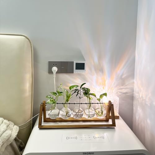 Kingbuy Plant Propagation Station with 5 Bulb Vases Retro Wooden Stand Desktop Glass Planter Terrarium for Hydroponics Plants Home Office Décor - Image 3