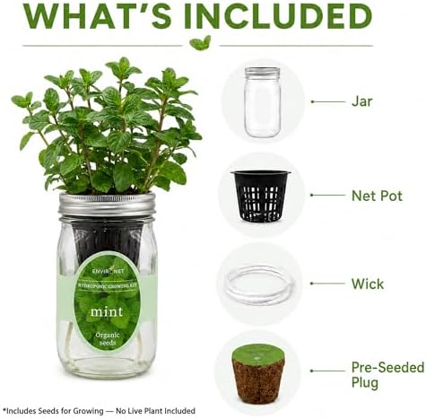 Hydroponic Herb Growing Kit, Self-Watering Mason Jar Herb Garden Starter Kit Indoor, Window Herbs Garden, Grow Your Own Herbs from Organic Seeds (Mint) - Image 3
