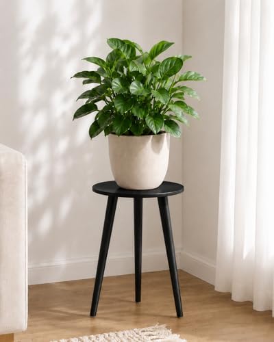 Bamworld Tall Plant Stand Indoor Wood Plant Table for Large Plant by Bamworld