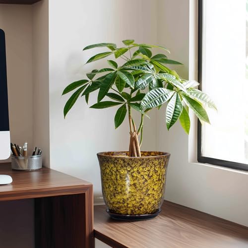 Ceramic Planter, 8 Inch Plant Pot for Indoor Plants, Yellow - Image 3
