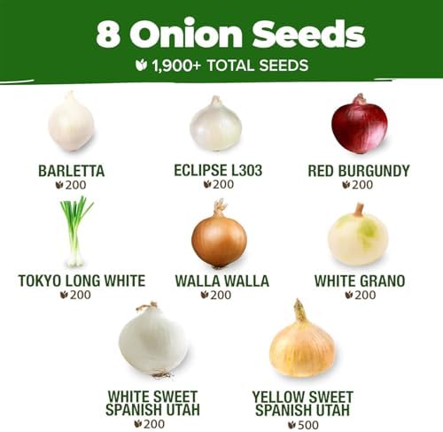 HOME GROWN 8 Onion Variety Mix 1600+ Vegetable Seeds Allium cepa - Image 3