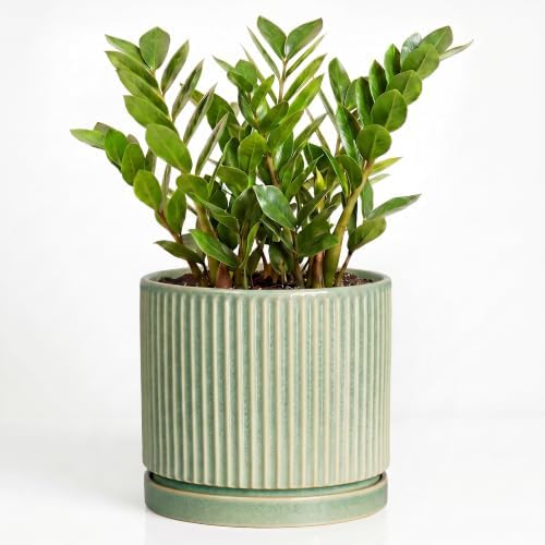 Ceramic Flower Pots, 10 Inch Plant Pot, Round Planter, Green by Unknown