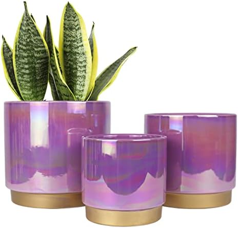Gepege Ceramic Plant Pots for Indoor Plants, Planters with Drainage Holes by Gepege