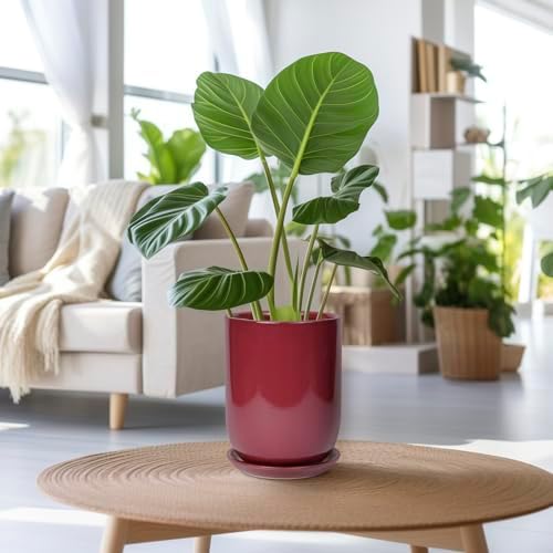 Ceramic Pot for Plants - 8 Inch Plant Pot Indoor with Drainage Hole and Saucer Cylinder Flower Pot for Indoor Outdoor Plants Home Patio Office Decor Red - Image 6