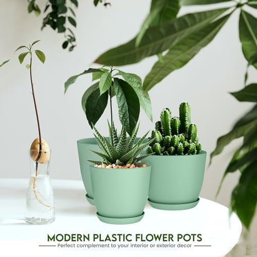 Plant Pots Indoor with Drainage, 10 Pack Multi-Size Planters Set, Mint - Image 5