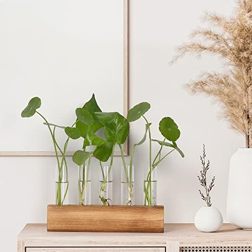 YIBOT Plant Propagation Station, Plant Terrarium with Wooden Stand - Image 4