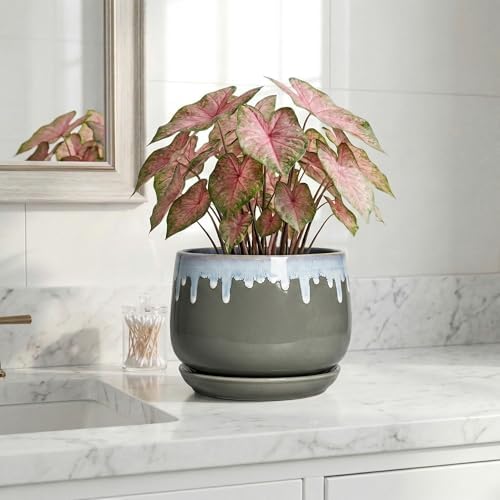 Ceramic Planter, 7 Inch Flower Pots for Indoor Plants, Grey-Blue - Image 6
