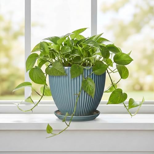 6 Inch Plant Pot Indoor, Ceramic Pots for Snake Succulent Plants, Decorative Round Flower Pots with Drainage Hole and Saucer, Modern Planter, Bookshelf Decor, Gifts for Men Women, Glaze Blue - Image 5