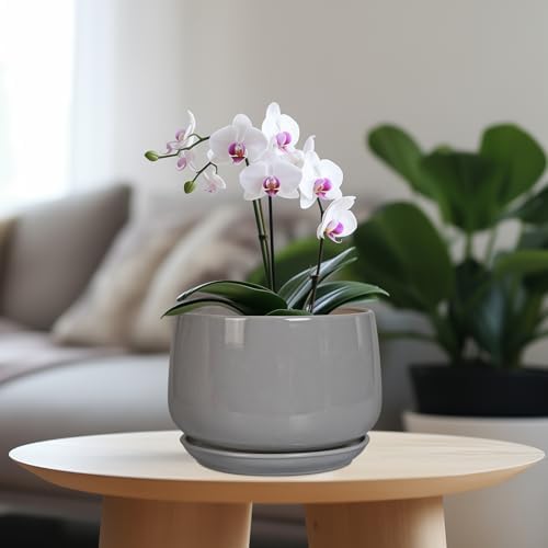 G EPGardening Ceramic Planter 7 Inch, Round, Modern, Gray - Image 2
