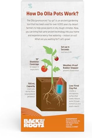 Back to the Roots Self-Watering Terracotta Olla Pot, 700mL Provides 1 Week of Precision Watering - Image 3