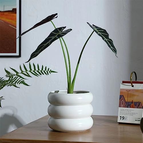 Ceramic Plant Pot Indoor, 6.5 Inch Flower Pot with Drainage Hole, Tiered Bubble Design Ceramic Planter for Home & Office Decor (White) - Image 2