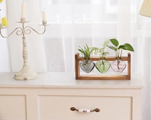 Kingbuy 3-Heart Plant Terrarium Kit - Stained Glass Vase Propagation Station with Vintage Wood Stand - Wall-Mounted & Tabletop Indoor Garden Decor for Home Kitchen Wedding (Grey, Green, Pink) - Image 5