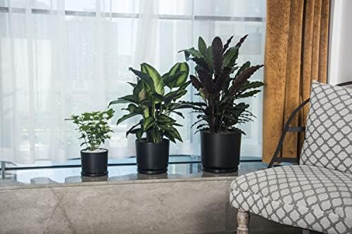Ekirlin 9 inch Plant Pots,Ceramic Flower Planters Indoor,Modern Succulents Containers with Drain Hole Saucer,Decorate Home,Office & Outdoor (Black) - Image 6