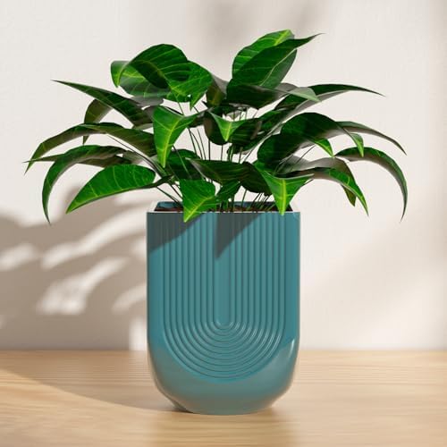 Ceramic Planter, 6 Inch Square Plant Pot with Drainage, Green by XiHuaer