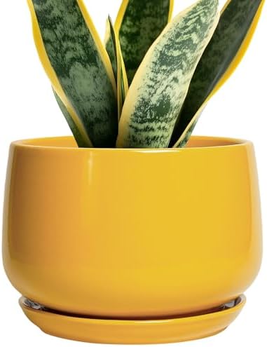 G EPGardening Ceramic Pots for Plants - 7 Inch Plant Pot with Drainage Hole and Saucer, Modern Ceramic Planter for Indoor Outdoor, Round Flower Planter, Gifts for Plants Lovers, Home Decor, Yellow by GEPGardening