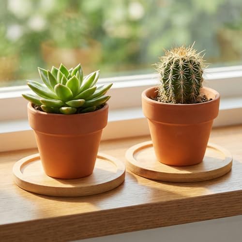 HOIGON 30 Pack Round Bamboo Coasters, 3 Inch Natural Wooden Coasters, Round Bamboo Tray Saucer Set for Drinks, Crafts, Succulents - Image 6