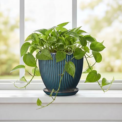 6 Inch Plant Pot, Ceramic Flower Pots for Indoor Plants, Round Planters with Drainage Hole and Saucer, Decorative Small Modern Flower Pots, Home Room Decor, House Warming Gifts, Retro Blue - Image 5