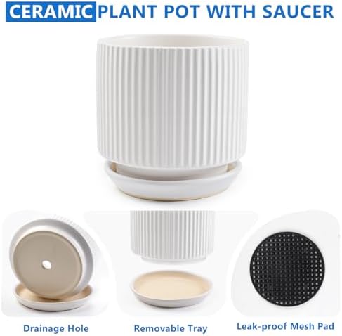 Ceramic-5.1-inch-Flower-Pots-with-Saucer, Small Planters for Indoor Plants with Drainage Hole, White Textured Vertical Stripe Plant Pots for Home Decor, Garden Pot For Succulent Cactus Mint Basil Herb - Image 4