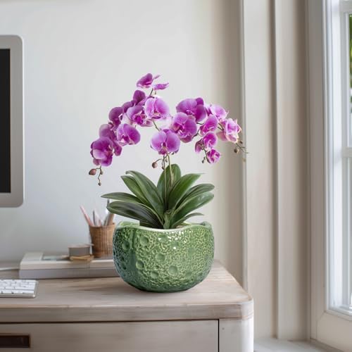 8 Inch Plant Pot - Ceramic Pots for Plants with Drainage Hole, Round Decorative Plant Pots for Indoor Outdoor, Modern Unique Flower Pot, Office Decor, Garden Gifts, Green - Image 5