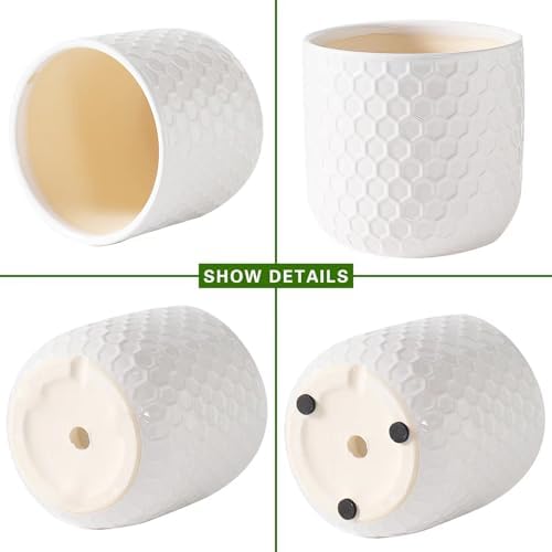 Docrin Plant Pots Indoor with Drainage: 6.4+5.3+4 Inch Ceramic Flower Pots for Plants - Set of 3 Modern Decorative Planters for House/Office/Gift - White Honeycomb - Image 3