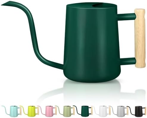 Watering Can Indoor Plants, 35oz Small Indoor Stainless Steel Metal Watering Can Modern Decorative Watering Pot with Long Spout for Indoor House Plant Bonsai Garden Flowers (Alpinegreen) by GUKJOB
