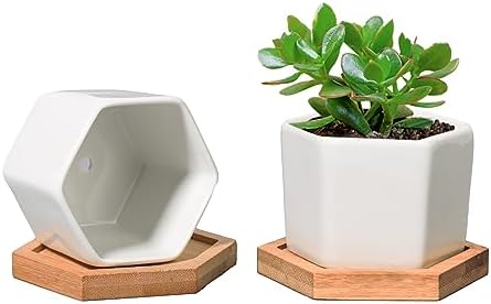 T4U Small White Succulent Planter Pots with Bamboo Tray Hexagon Set of 2, Geometric Ceramic Cactus Plant Holder, Succulent Plant Gifts for Gardener Women Coworker, Home Office Table Desk Decoration by T4U