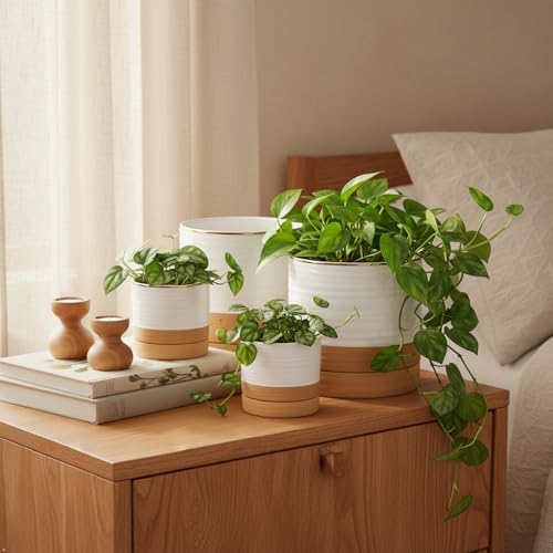 HASENSE Planters for Indoor Plants, 8+6+4.6 Inch Ceramic Plant Pots Indoors with Drainage Hole and Tray, Dual Contrast Glaze Flower Planters for Herb Snake Succulent, Set of 3, White - Image 4