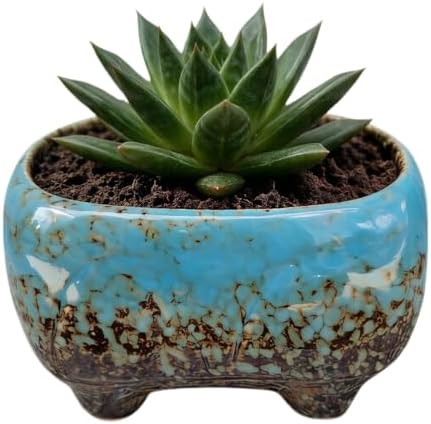Cute 4.7 Inch Rectangle Ceramic Home Garden Decoration Succulent Cactus Flower Pots Container -Plant Not Included (Blue) by SJBAG