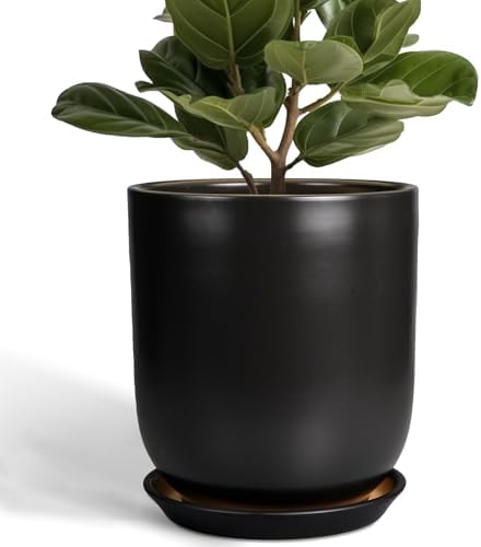 Ceramic Planter 10 Inch - Ceramic Pot for Indoor Plants Outdoor Plant Pot with Drainage Hole and Saucer Cylinder Flower Pot Black by SUNPOTFOR
